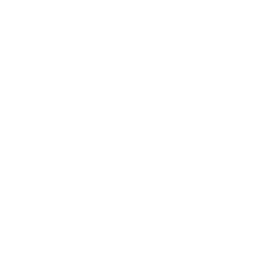 Audio icon